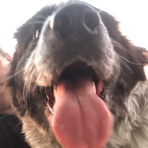 Meet your Posher, Christina